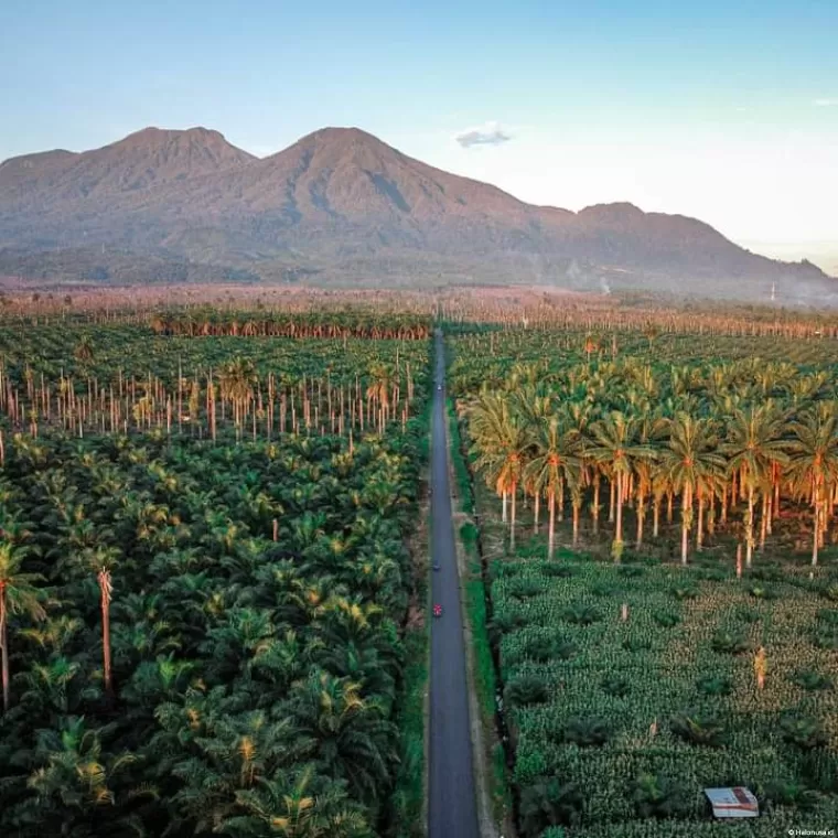 Gunung Pasaman. (Foto: Wikipedia)