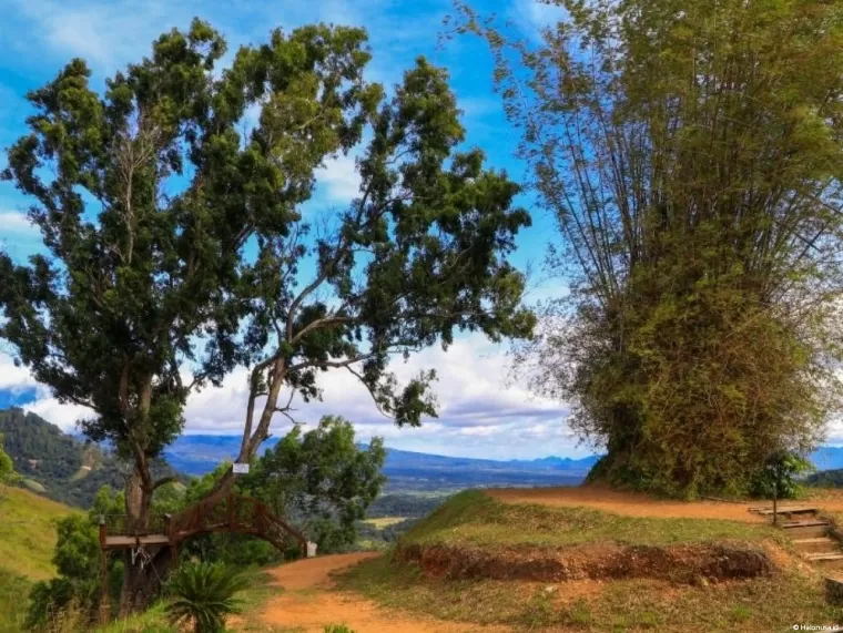 Puncak Aua Sarumpun. (Foto: Istimewa)