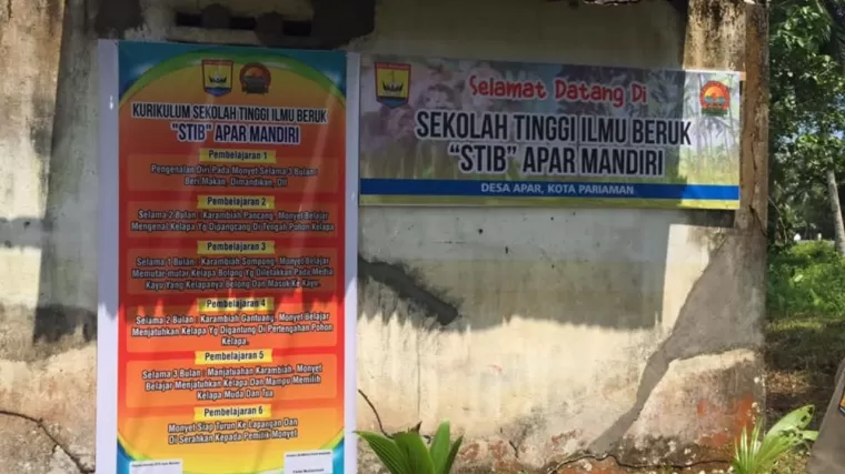 Sekolah Tinggi Ilmu Beruk (STIB) Kota Pariaman. (Foto: Diskominfo Pariaman)