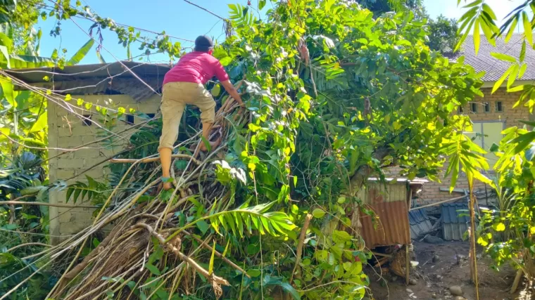 TRC PB lakukan pembersihan material pojon yang tumbang dan menimpa rumah warga di Padang. (Foto: Istimewa)