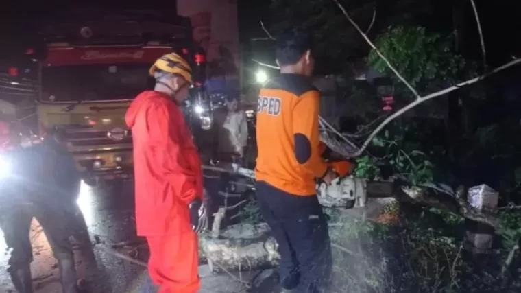 Personel BPBD Padang, membersihkan pohon tumbang yang ada di Jalan Jembatan baru Kuranji, Kamis (20/6/2024). (Foto: Arunala.com)