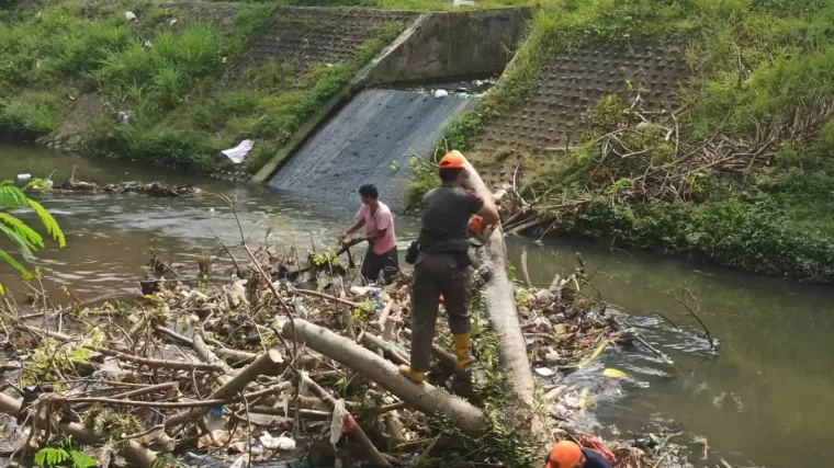 Pol PP Padang Evakuasi Pohon Tumbang yang Hambat Aliran Sungai