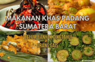 5 Kuliner khas Padang Sumatera Barat yang belum banyak diketahui orang. (Kolase: Halonusa.id)