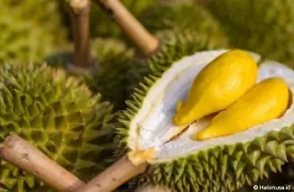 Ilustrasi durian. (Foto: iStockphoto/Picnote)