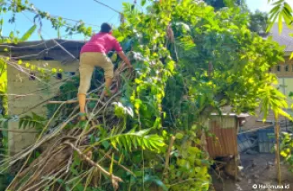 TRC PB lakukan pembersihan material pojon yang tumbang dan menimpa rumah warga di Padang. (Foto: Istimewa)