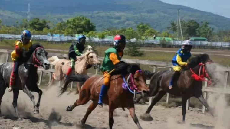 5 Gelanggan Pacu Kuda di Sumbar, Punya Hobi Berkuda Wajib Kunjungi Ini!