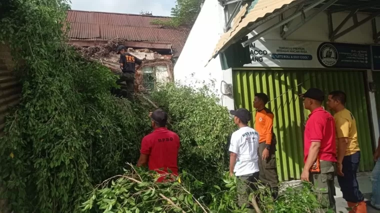 Petugas BPBD Padang membersihkan material pohon tumbang. (Foto: Diskominfo Padang)