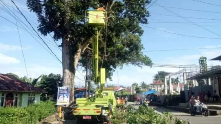 Petugas DLH Solok memangkas pohon pelindung. (Foto: Diskominfo Kota Solok)