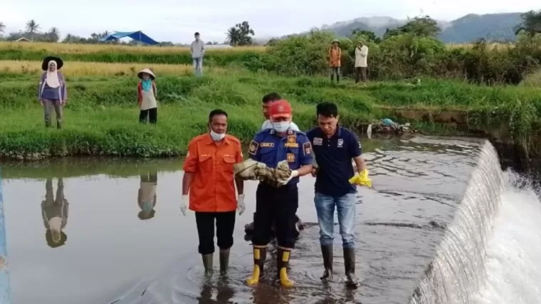 Geger! Penemuan Mayat Bayi Perempuan di Sungai Jorong Induriang Agam