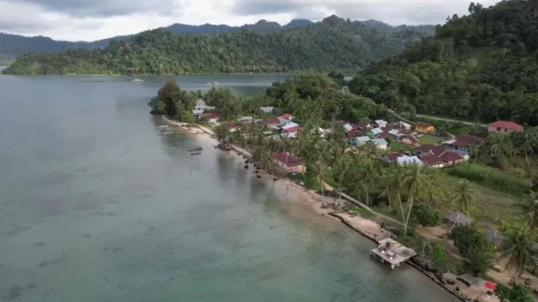 Pesona Hutan Mangrove Teluk Buo, Kota Padang. (Foto: Diskominfo Padang)