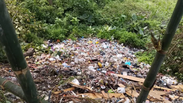 Pemko Padang Beraksi, Tumpas TPS Liar demi Kebersihan Kota