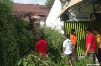 Petugas BPBD Padang membersihkan material pohon tumbang. (Foto: Diskominfo Padang)