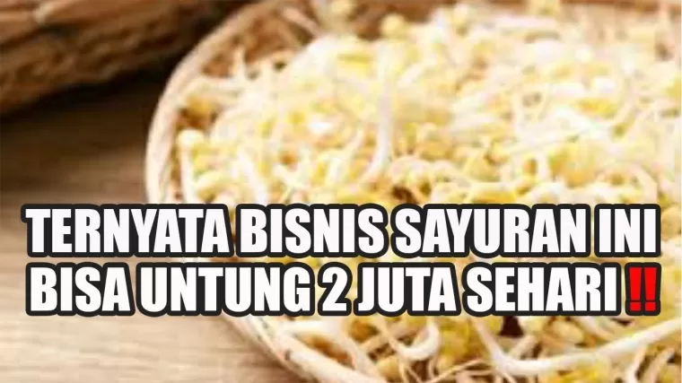 Ilustrasi tips budidaya tauge. (Foto: kanal Youtube In Tips Sukses)