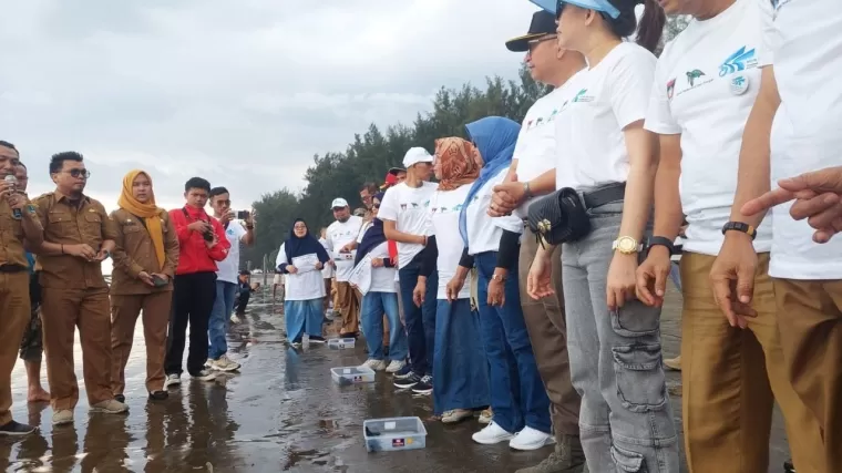 Peluncuran Tukik di Pantai Air Manis, Penyu jadi Maskot Kota Padang