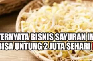 Ilustrasi tips budidaya tauge. (Foto: kanal Youtube In Tips Sukses)