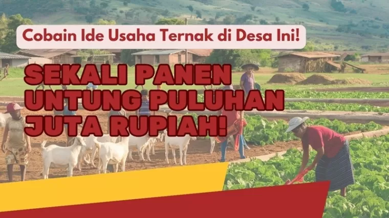 Balik Kampung 2024! Cobain 4 Ide Usaha Ternak Ini, Untung Hingga ...