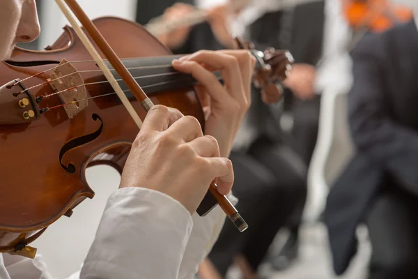 5 Rekomendasi Kampus Dengan Jurusan Musik Terbaik Di Indonesia, Salah ...