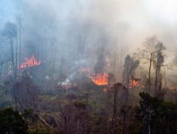 Foto Dua Titik Panas Masih Terpantau di Wilayah Riau