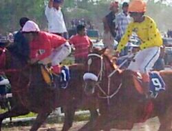 Foto Delima Queen Juarai Pacu Kuda Sawahlunto Derby 2016