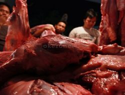 Foto Wanita Hamil Disarankan Tidak Konsumsi Daging Kambing Berlebihan