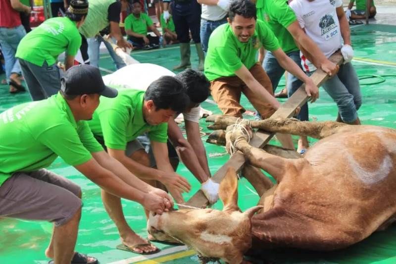 Foto Lapas Pekanbaru Sembelih 16 Hewan Kurban