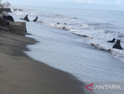 Foto Pantai Masang Agam Alami Abrasi Sepanjang Satu Kilometer