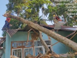 Foto Tiga Rumah di Padang Pariaman Rusak Tertimpa Pohon