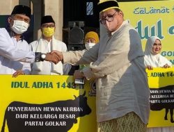 Foto Cegah PMK, Golkar Bagikan Langsung 93 Sapi dan 48 Kambing Kurban