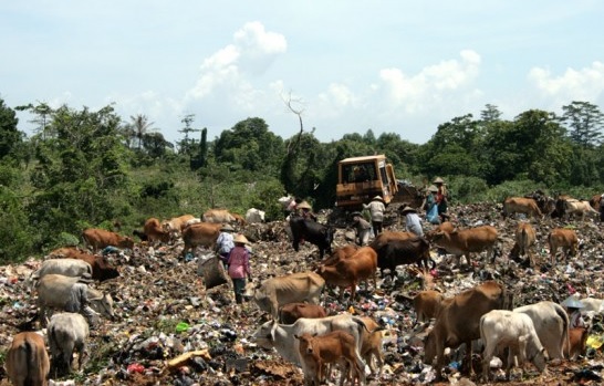 Foto Kota Padang Hasilkan 640 Ton Sampah Setiap Hari