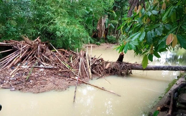 Foto Banjir, Puluhan Rumah di Malai V Koto Terendam