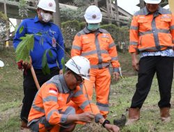 Foto Semen Padang Kembali Hijaukan  Area Pabrik