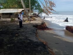 Foto Abrasi Terjang Pantai Tiku V Jorong