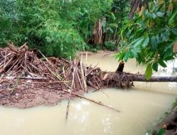 Foto Banjir, Puluhan Rumah di Malai V Koto Terendam