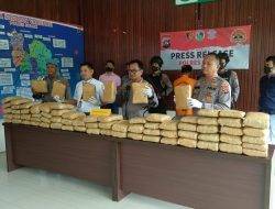 Foto  Sempat Kabur, Tim Spider Polres Solok Tangkap Pemilik 75 Paket Ganja