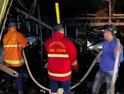 Foto Kandang Ternak Milik Guru SLB di Agam Terbakar, 9 Ekor Sapi Mati Terpanggang