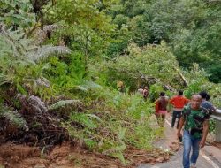 Foto Pohon Tumbang dan Longsor Terjadi di Sejumlah Titik di Kota Padang