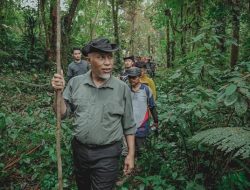 Foto Tinjau Jalan Alternatif Malalak - Maninjau, Gubernur Tembus Hutan Sepanjang 11 KM