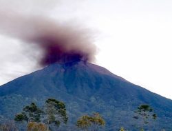 Foto Gunung Kerinci Keluarkan Asap Tebal, Jalur Pendakian Ditutup