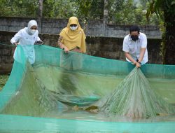 Foto Komitmen Semen Padang Terhadap Keanekaragaman Hayati, Fauna dan Flora Langka Hidup Bebas di Taman Kehati