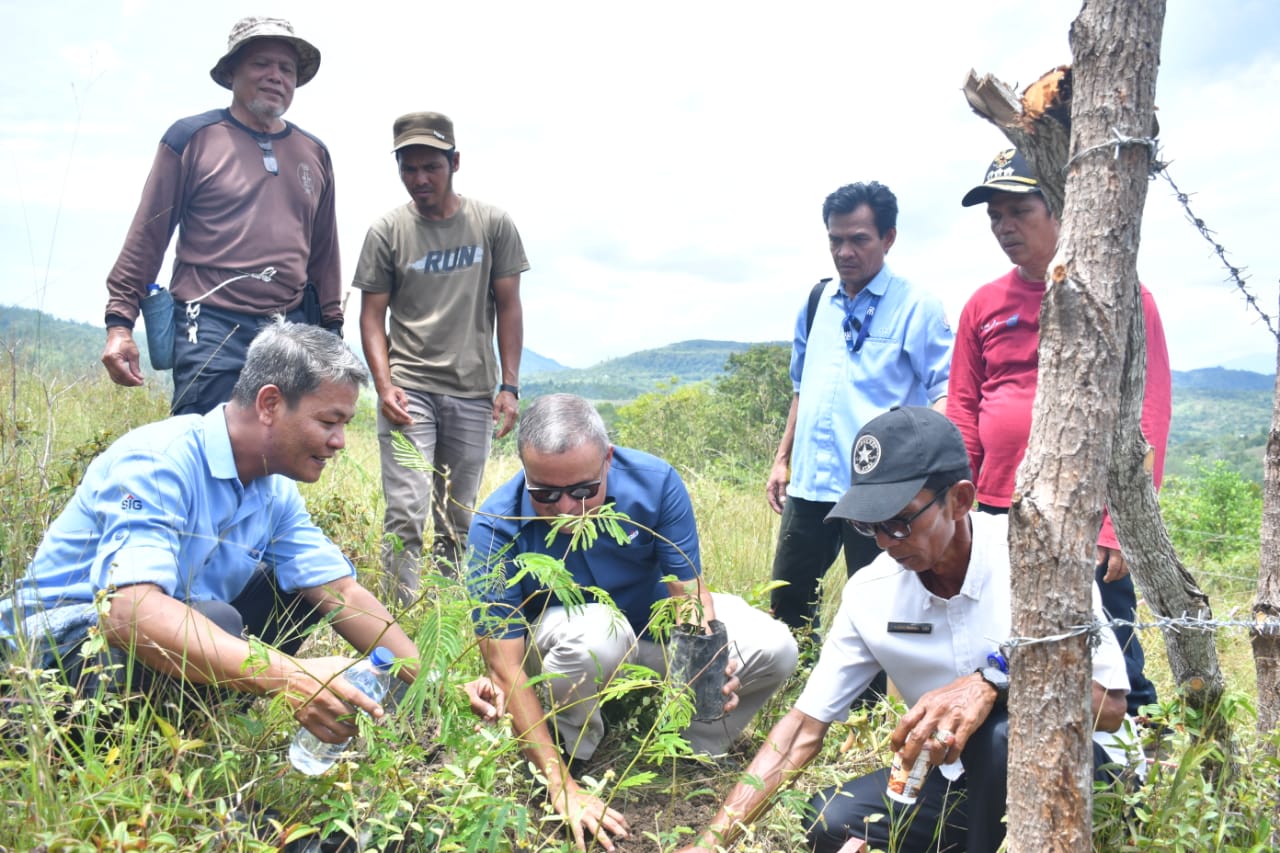 Foto Bekerjasama dengan Semen Padang, Pemkab Sijunjung akan Manfaatkan Bekas Tambang untuk Tanam Kaliandra