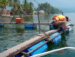 Foto Terhitung Februari 2023, Tak Ada Lagi Penangkapan Ikan Bilih gunakan Bagan di Danau Singkarak