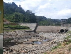 Foto Tak Ada Fishway di Bendungan PLTMH, Ikan Endemik Batang Pelangai Gadang Terancam Punah