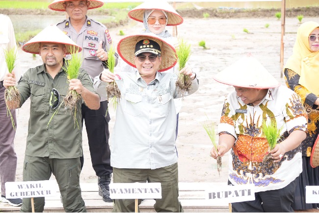 Foto Tingkatkan Produksi Pertanian Sumbar, Wamentan Serahkan Bantuan di Padang Pariaman