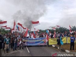 Foto Pemprov Riau Panggil Pemkab Siak Terkait Kisruh Lahan