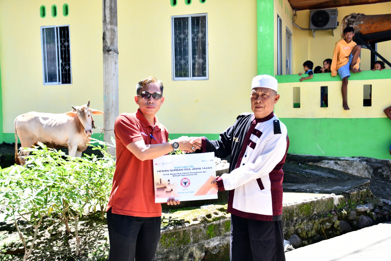 Foto Idul Adha 1444 H, Semen Padang Salurkan Bantuan 35 Hewan Kurban 