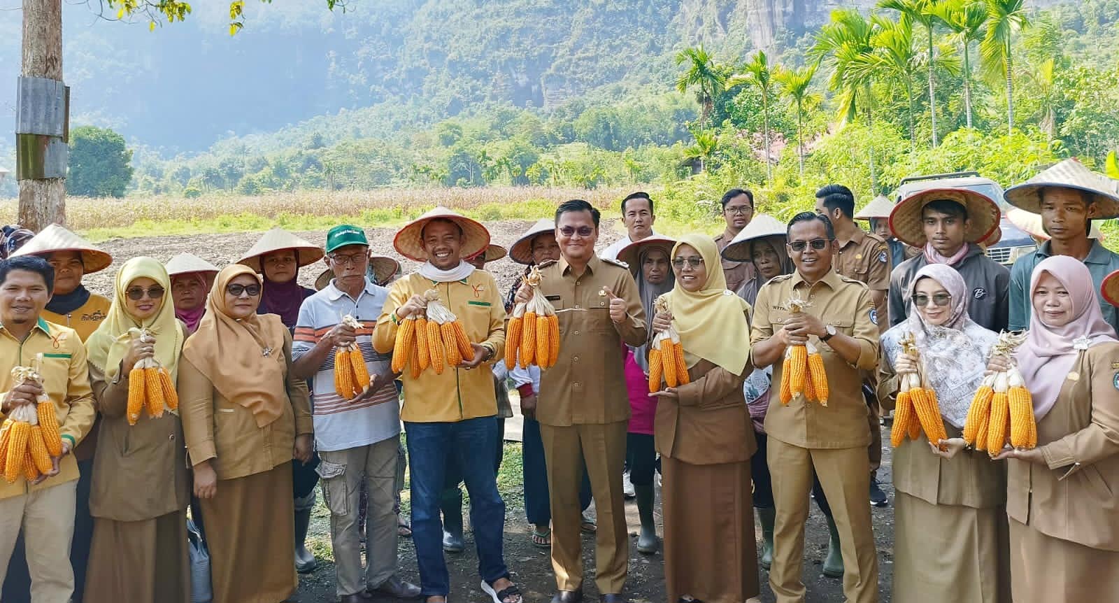 Foto Gempita Panen Raya Jagung, Nurkhalis: Memajukan Pertanian Perlu Kesungguhan