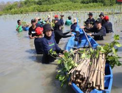 Foto Telkomsel Tanam 15.060 Pohon di Kawasan Hutan Mangrove Indonesia