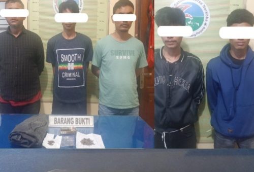 Foto Miliki Daun Ganja, 5 Pria Ditangkap Polisi Padang Panjang