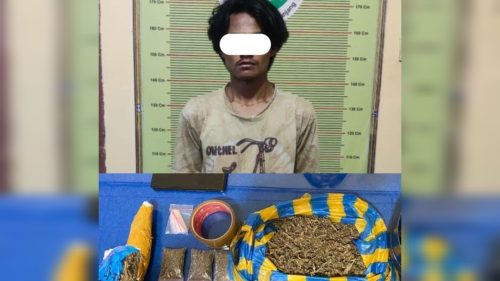 Foto Tim Karanggo Kembali Ringkus Pengedar Ganja Kering