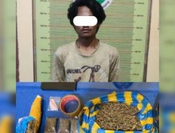 Foto Tim Karanggo Kembali Ringkus Pengedar Ganja Kering